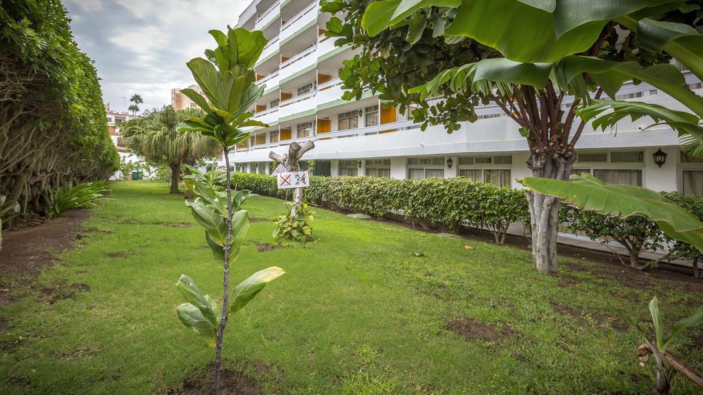 פלאייה דל אינגלז Tagoror Beach Apartments - Adults Only מראה חיצוני תמונה